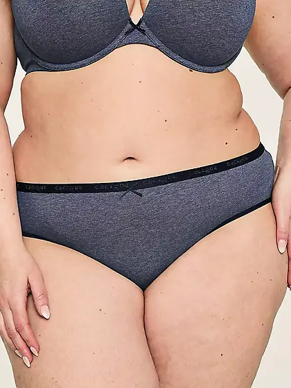 Lane Bryant--My favorite model again