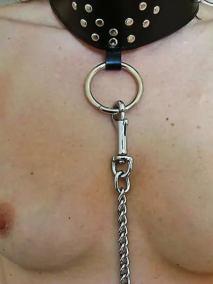 Bob Sophie and Mates