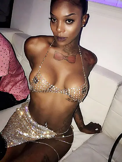 Le paradis noir,  the black paradise87