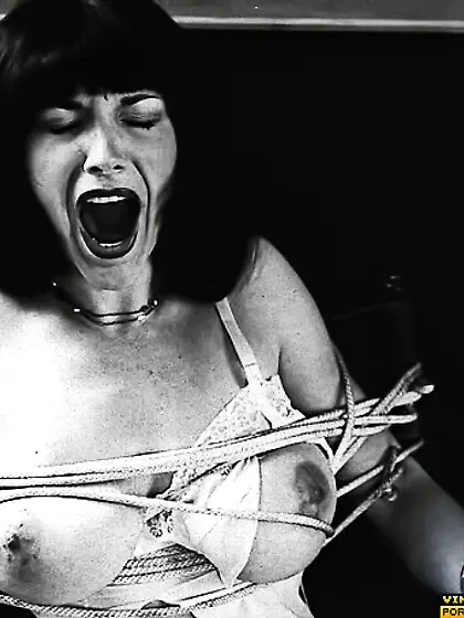 Glamorous brunette nude bra