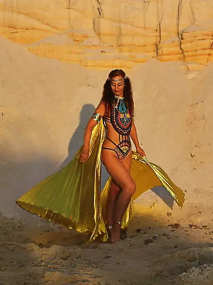 With Golden Wings on Setting Sun