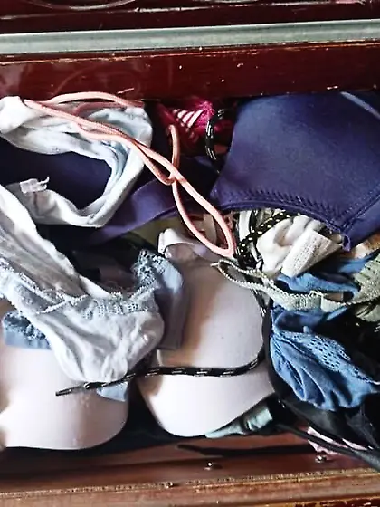 Hamper hunter (not OC)