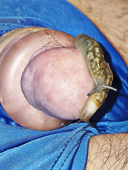 Slug pleasures my cock inside and out