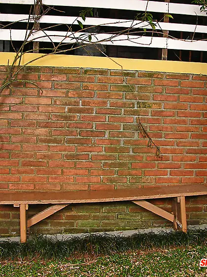 Nasty shemale Larissa Monteiro fucks a guy