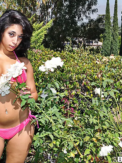 This teeny chick loves her partner,  they both really enjoy sweet