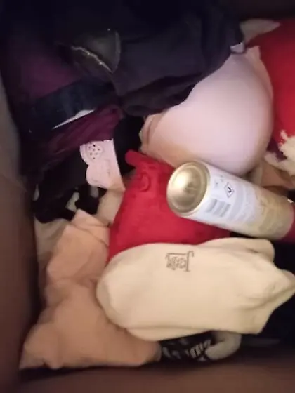 Hamper hunter (not OC)