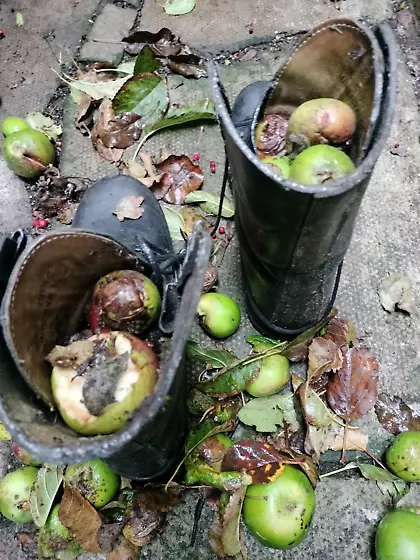 Skinhead boots apples bondage cbt