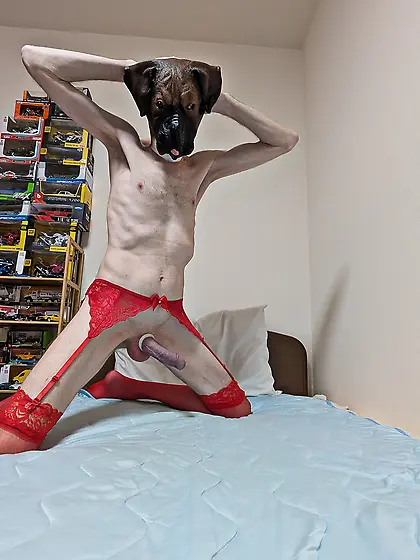 Bulldog & devil horn mask with sexy red lingerie