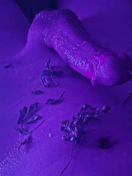 Stuffed for the grill dm if intrested