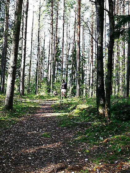 Swarthy puss searching for a quiet place...