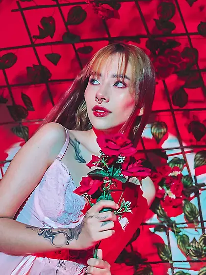 MelodyBliss Free Photos