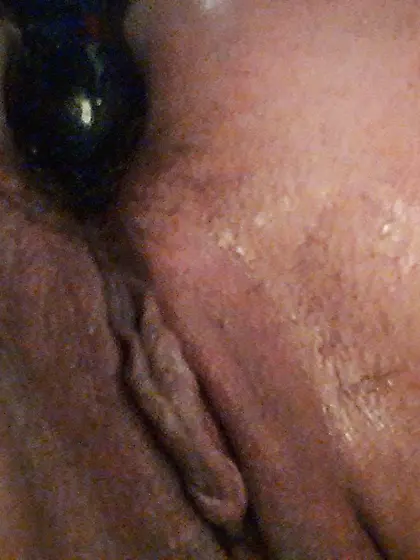 Cochonne française de Dijon