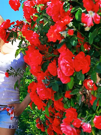 Busty blonde is happy to present her gorgeous, hair-free pussy h