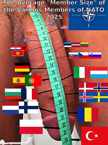 97CDE8E - NATO cock size stats