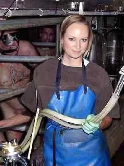 i have to milk the bull