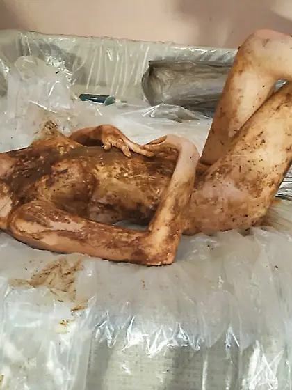 The girls from Astracelestial