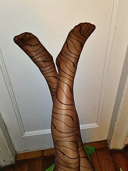 Legs