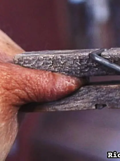 Brunette likes tits squeezed