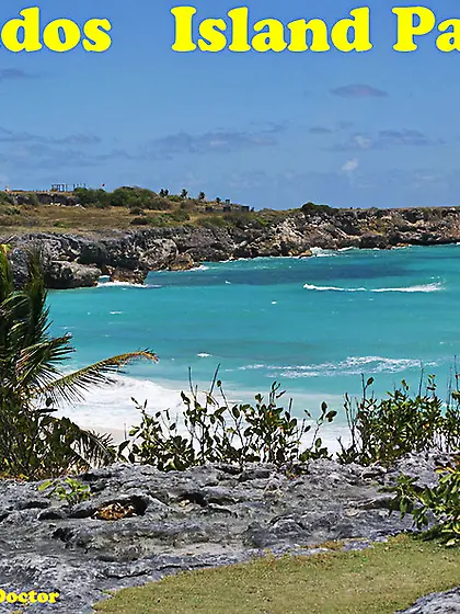 Lesbian sex exhibitionist speedy