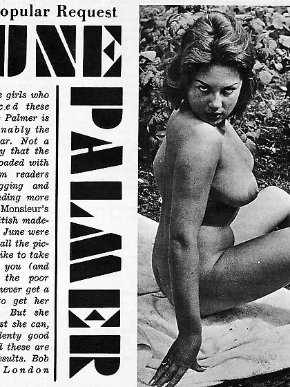 Voluptuous vintage sixties model