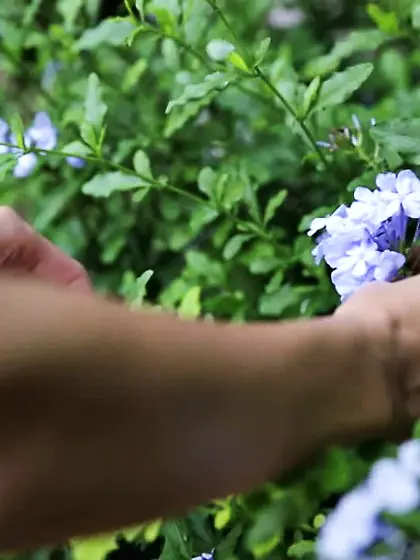 Young couple romantic copulation