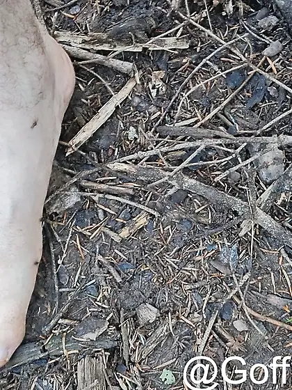 Ants crawling on my body