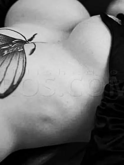 Ms.  Rosie Wilde (Ms.  Rosie Levine)