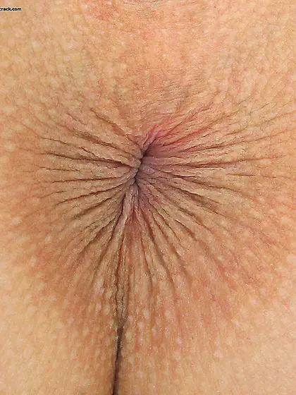 Buttholes & Spread Ass Cheeks