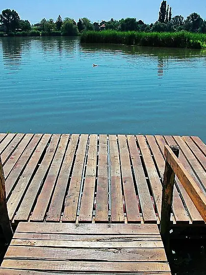 Great looking teen girl with pig tails shows her sexy body and g