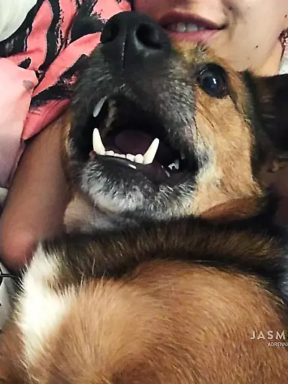 Petite tiny tits teen