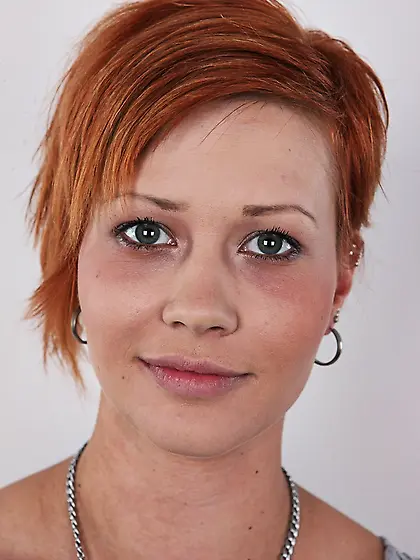 Adorable ginger cat grey