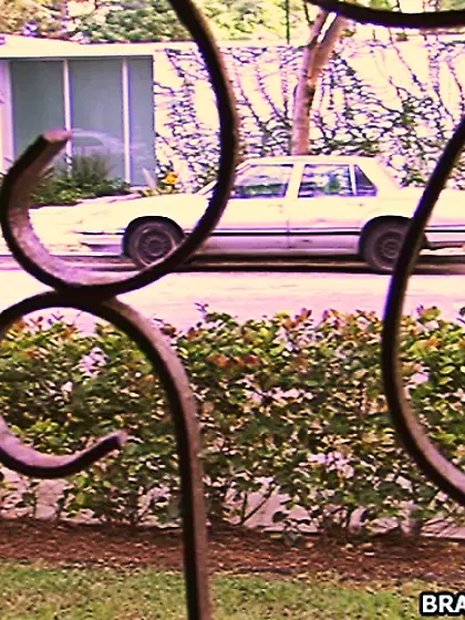 Brandi always try to go beyond