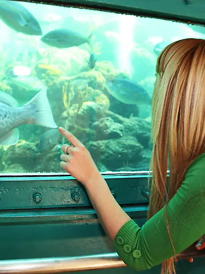 Ultimately, he pushes his cock into her opening and it feels hot