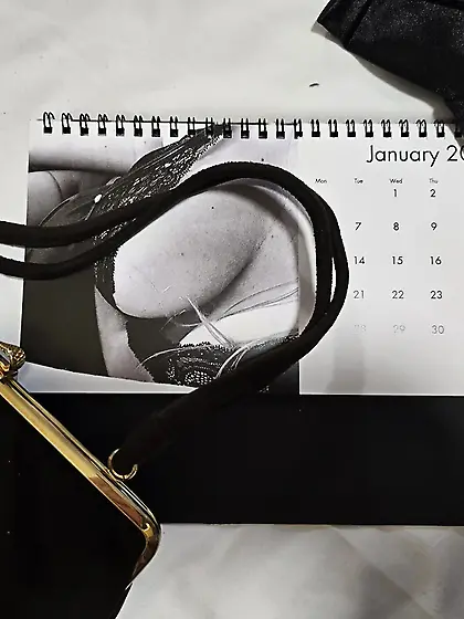 2025 Calendar For Sale "The Girls"