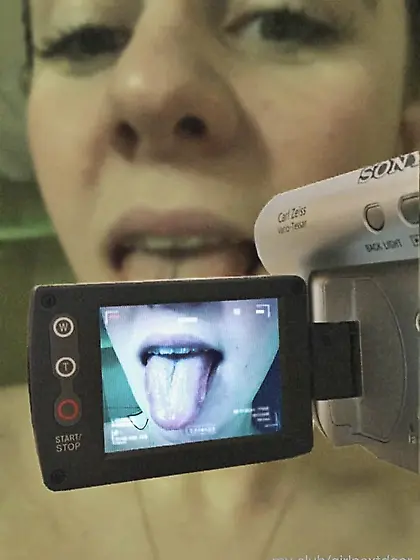 little kitty Free Photos