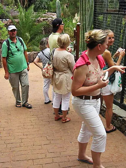 Disagreement in the Wildlife Park