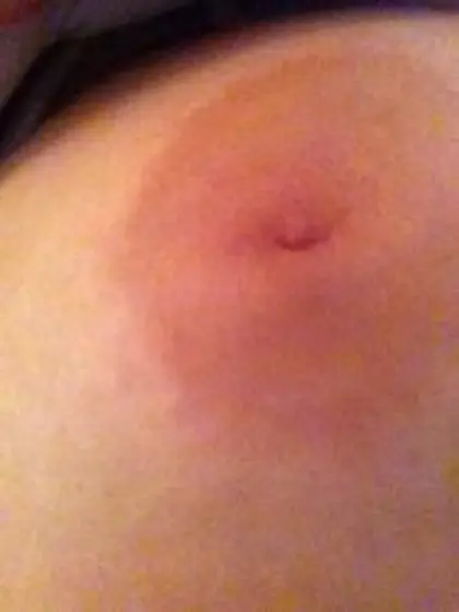 Celebrities Collection 3