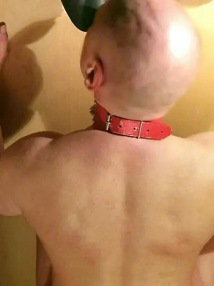 bald shaved collar submissive male slave worship