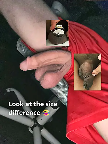 My cuckold husband compared against my bulls