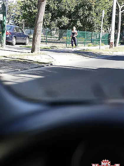 Good news,  cat fight