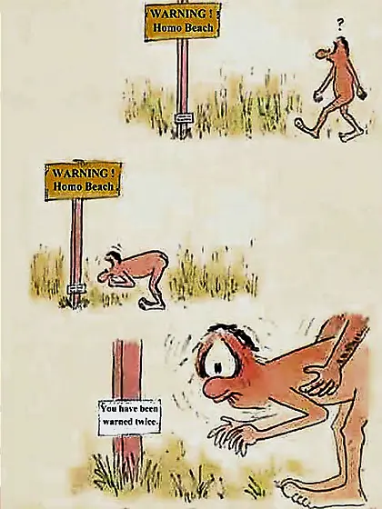 Sexy and funny toons