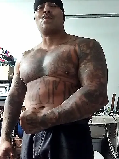 Bbw gilfs milfs cougars