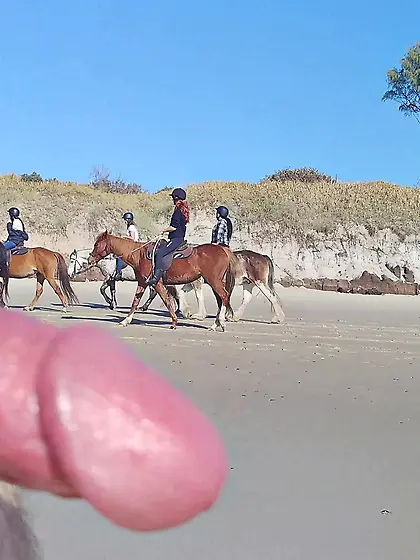 Public erection beach flasher CFNM for horseriders