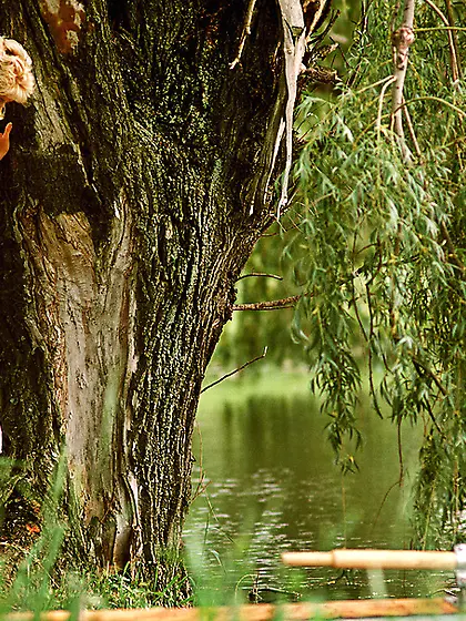 Blonde princess dressed white