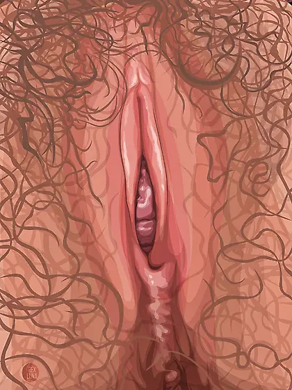 Vulva - Vector Illustration