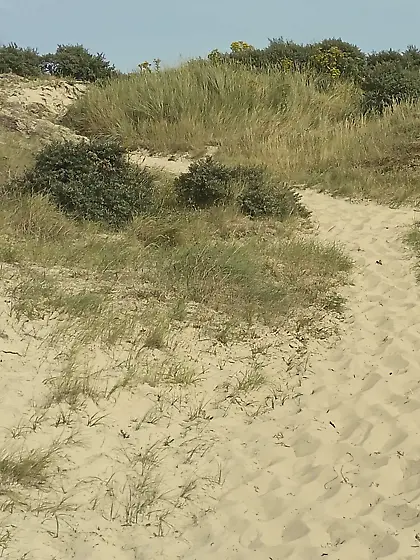 Geile Frau zeigt sich in den Dünnen