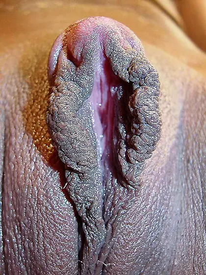 big pussy lips