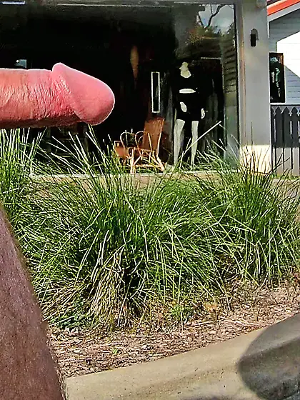 WNBR Byron Bay erection flasher CFNM smile n wave