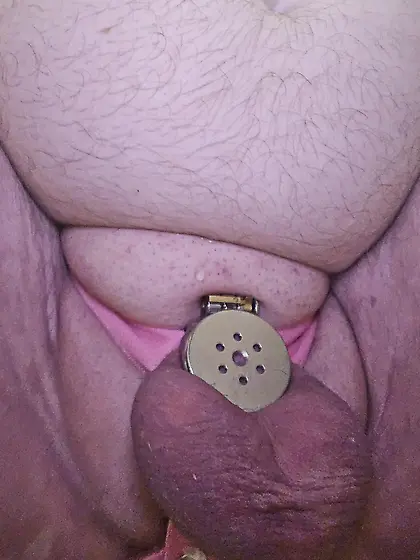 Various cages that were tested