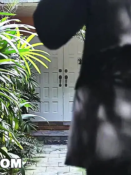 Teen afraid of massive phallus 